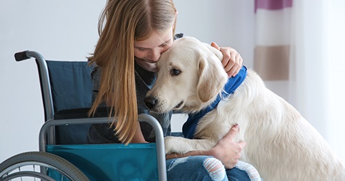 JWilliams Staffing - Assistance Animals: Are You Fair Housing Compliant?